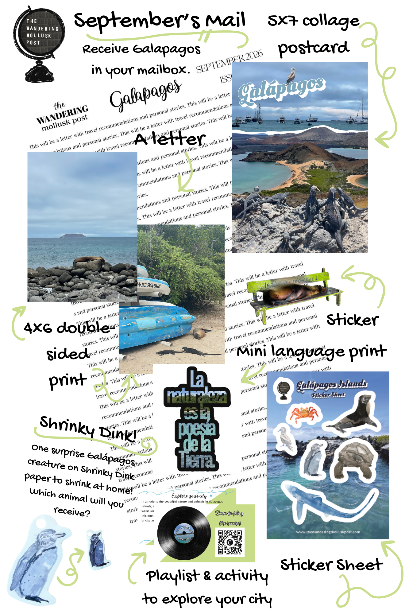Wandering Mollusk Monthly Mail Club